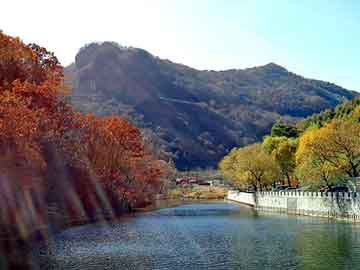 管道疏通剂原料厂家_管道疏通剂原料厂家有哪些